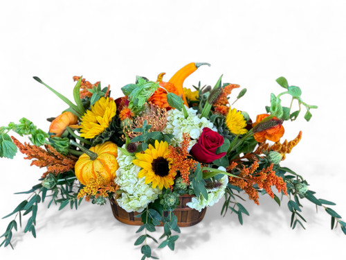 Autumn Harvest