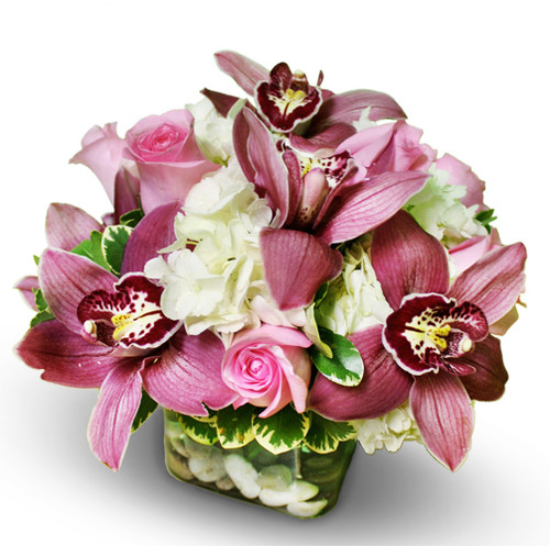 Pink & White Princess