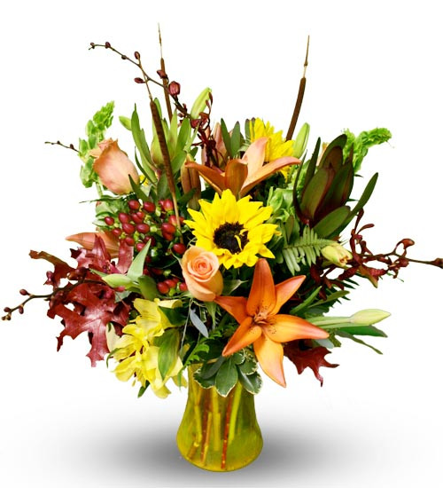Colorful Autumn Flowers Colorful Autumn Flowers