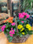 Blooming Plant Garden Basket