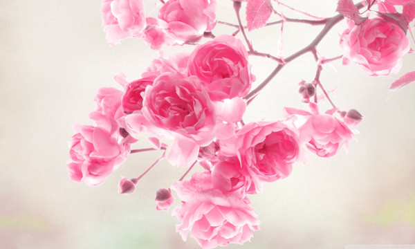 Spring into Action