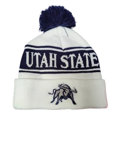 White, blue Stripe Aggies pom beanie