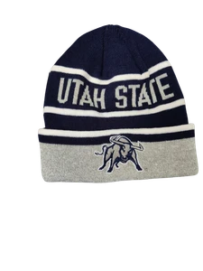 Cuffed beanie Navy W/ Grey & White
