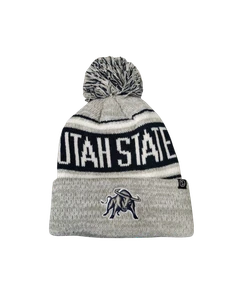 Textured Stripe Beanie with Ribcuff & Pom Utah State