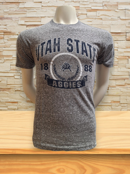 Colosseum Victory Tee