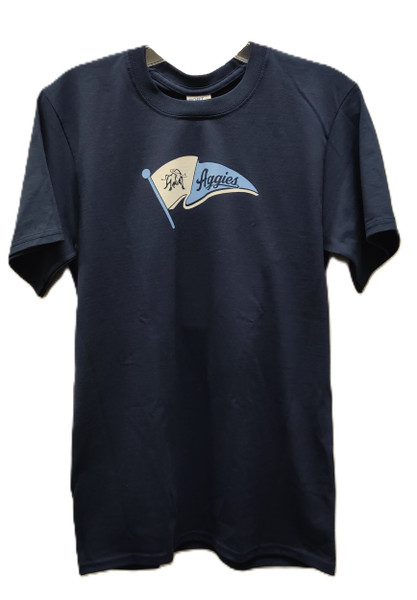 Varsity Pennant LT