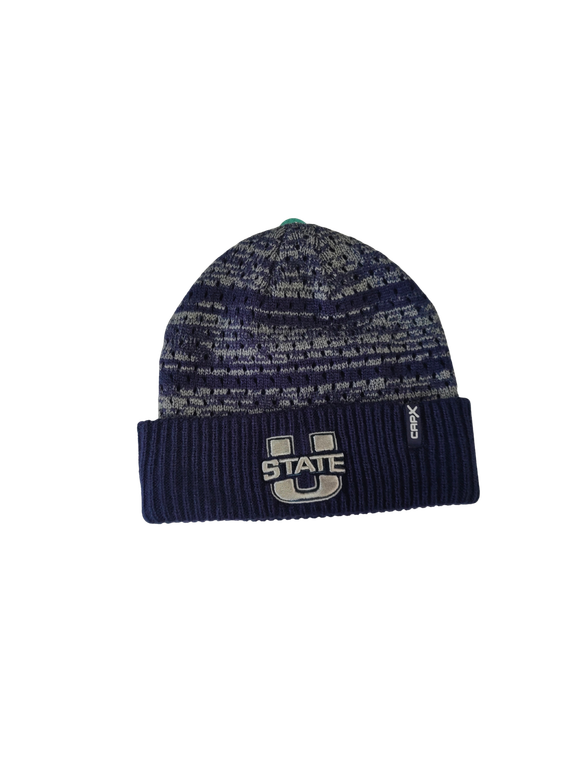 Cap X 25' Beanie