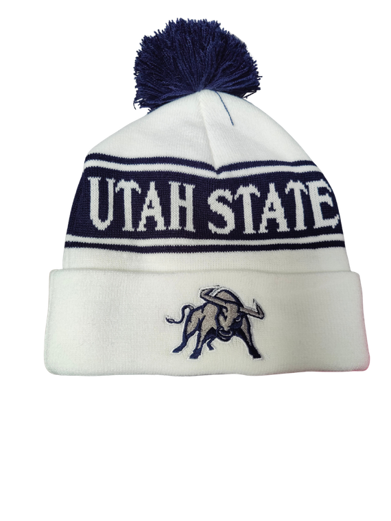 White, blue Stripe Aggies pom beanie