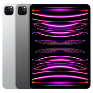 iPad Pro 11" 2021-2022