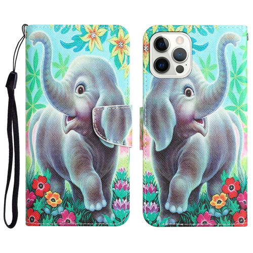 iPhone 14 Pro Colored Drawing Leather Phone Case - Elephant