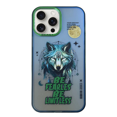 iPhone 15 Pro Max Aurora Series Painted Pattern Phone Case - Wolf