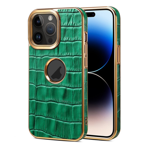 iPhone 14 Pro Denior Crocodile Texture Genuine Leather Electroplating Phone Case - Green