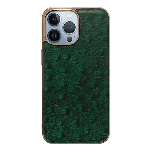 iPhone 13 Pro Max Genuine Leather Ostrich Texture Nano Case  - Green