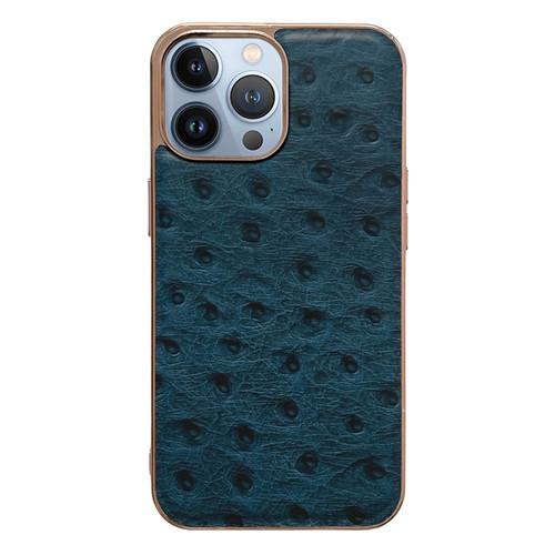 iPhone 13 Pro Max Genuine Leather Ostrich Texture Nano Case  - Blue