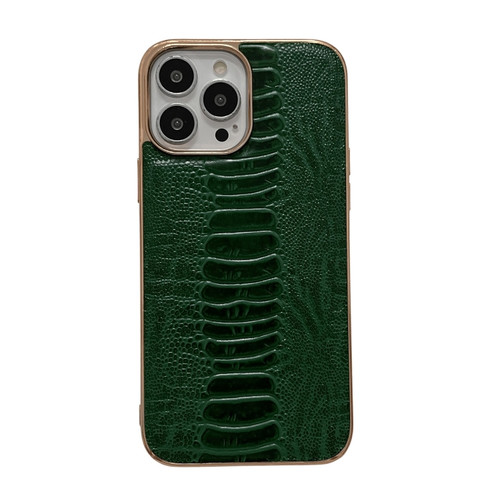 iPhone 13 Pro Genuine Leather Pinshang Series Nano Electroplating Phone Case  - Green