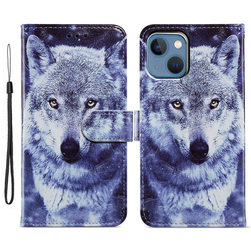 iPhone 15 Plus Colored Drawing Leather Phone Case - White Wolf