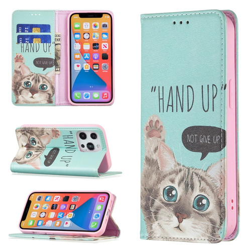 iPhone 13 mini Colored Drawing Pattern Invisible Magnetic Horizontal Flip PU Leather Case with Holder & Card Slots & Wallet  - Cat