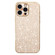 iPhone 16 Pro Electroplating Star Diamond CD Texture Lens Ring Phone Case - Gold