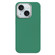 iPhone 15 Skin Feel Fine Leather Texture Metal Lens Frame MagSafe Phone Case - Grass Green