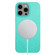 iPhone 12 Pro Wheat MagSafe Magnetic Straw Material + TPU Phone Case - Green