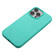 iPhone 12 Pro Wheat MagSafe Magnetic Straw Material + TPU Phone Case - Green