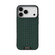 iPhone 17 Pro ABEEL Ruyi Pattern 6D Micro Relief MagSafe Leather Phone Case - Green