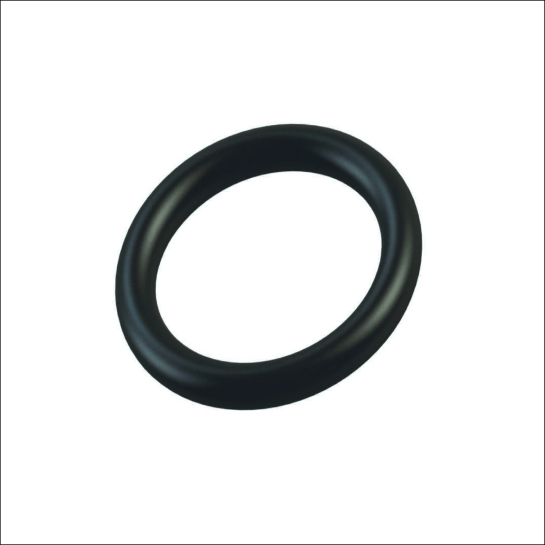 viton-ring.jpg