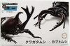 Fujimi Research Series Stag Beetle vs. Japanese Rhinoceros Beetle Duel Set Plastic Model