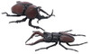 Fujimi Research Series Stag Beetle vs. Japanese Rhinoceros Beetle Duel Set Plastic Model