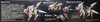 Kotobukiya Hexa Gear 1/24 Weird Tails Plastic Model