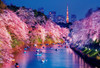 Beverly 33-207 Jigsaw Puzzle Cherry Blossoms in Chidorigafuchi (300 Pieces)