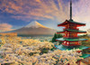 Beverly 66-206 Jigsaw Puzzle Asama Shrine and Mt.Fuji with Cherry Blossoms (600 Pieces)