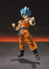 Bandai S.H. Figuarts Super Saiyan Blue Son Goku Figure (Dragon Ball Super: Broly)