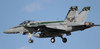 Hasegawa SP343 F/A-18E Super Hornet USS Ronald Reagan CVW-5 Cag Special Box Pt.2 1/72 Scale Kit
