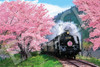 Epoch 09-020s Jigsaw Puzzle Cherry Blossoms and the Oigawa Railway in Shizuoka Japan (1000 Pieces)