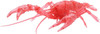 Fujimi Research Series Procambarus Clarkii / Louisiana Crawfish Special Version (Clear Red) Plastic Model