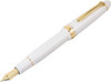 Sailor Profit 21 Fountain Pen WE MS 11-2021-910