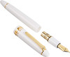 Sailor Profit 21 Fountain Pen WE MF 11-2021-310
