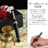 Sailor Professional Gear Silver Fountain Pen Black F 11-2037-220