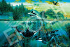 Epoch 13-041s Jigsaw Puzzle Marine Art Collection Wonderful Orca Family (1000 Pieces) (Glow in the Dark)