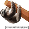 Takara Tomy Ania AS-26 Sloth (Brown-throated sloth)