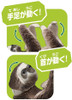 Takara Tomy Ania AS-26 Sloth (Brown-throated sloth)
