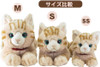 Sunlemon Plush Doll Knee Cat SS (Brown)