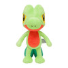 Pokemon Center Original Plush Doll Treecko