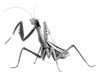 Fujimi Research Series Tenodera Aridifolia Clear Green (Japanese Giant Mantis) Metallic Silver Ver. Plastic Model
