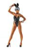 Max Factory PLAMAX MF-47 minimum factory non: Bunny Girl & Anubis Costume Plastic Model