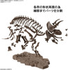 Bandai Imaginary Skeleton 1/32 Triceratops Plastic Model