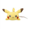 Pokemon Center Original Washable Plush Pikachu
