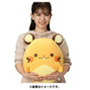 Pokemon Center Original Beanbag Plushy Huggable M Dedenne