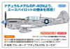 Hasegawa 1/48 P-40 Warhawk Natural Metal Aces Plastic Model